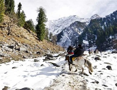 Honeymoon in Shimla and Manali